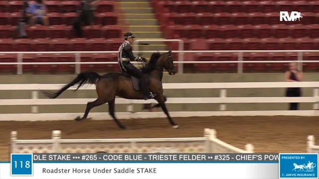 2020 ASF - Class 118 Roadster Horse U...