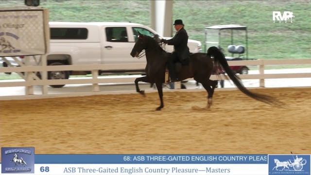 CTSC24 - Class 68 -  ASB Three Gaited...