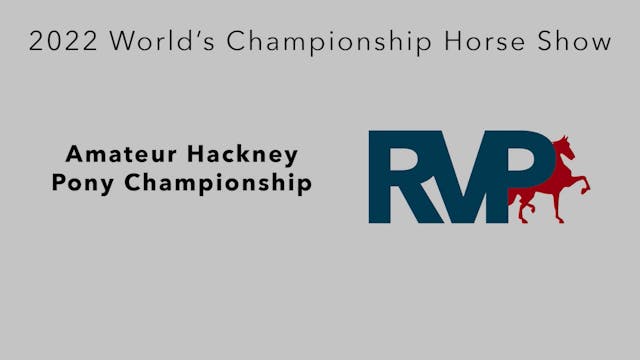 WCHS22 - Class 204 - Amateur Hackney ...