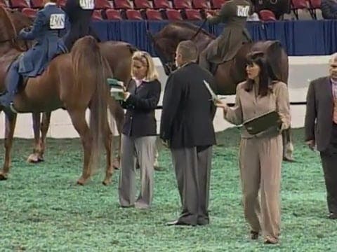 2008 WCHS Class 15 17 Year Old Saddle...