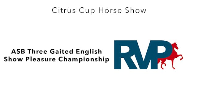 CC24 - Class 208 - ASB Three Gaited E...