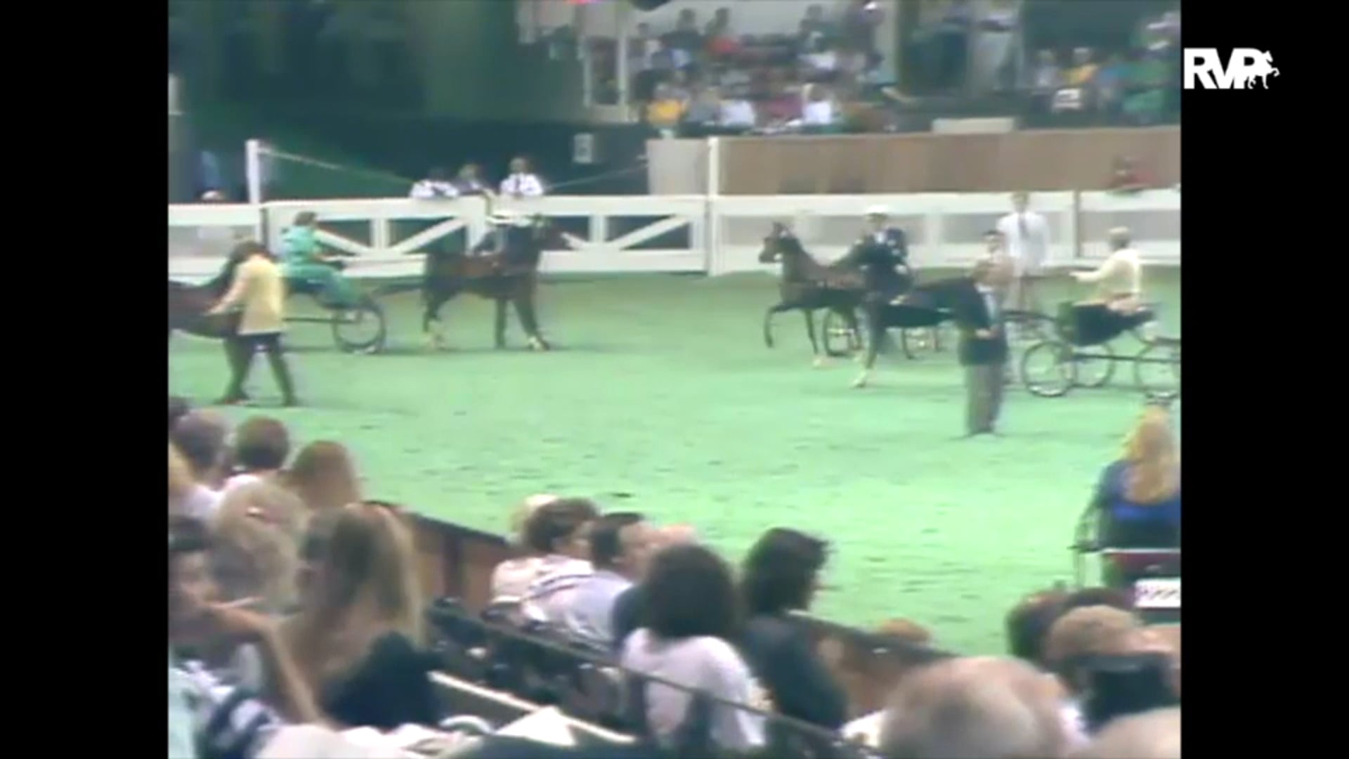 1989 WCHS Class 73 Harness Pony Stallion or Gelding 