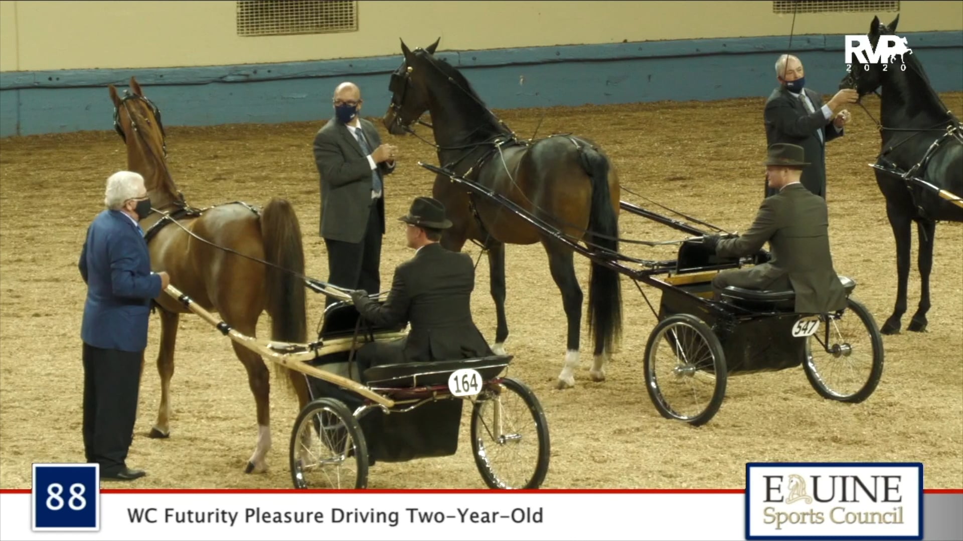 2020 MGN - Class 88 WC Futurity Pleasure Driving Two-Year-Old