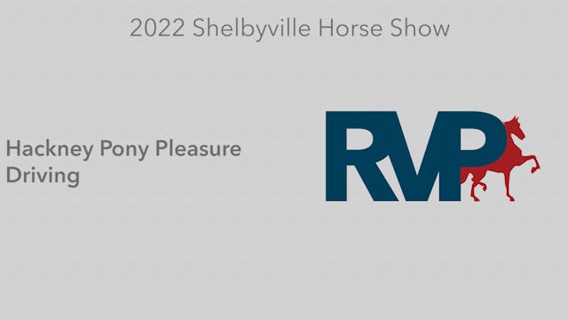 SHS22 - Class 8 -   Hackney Pony Plea...