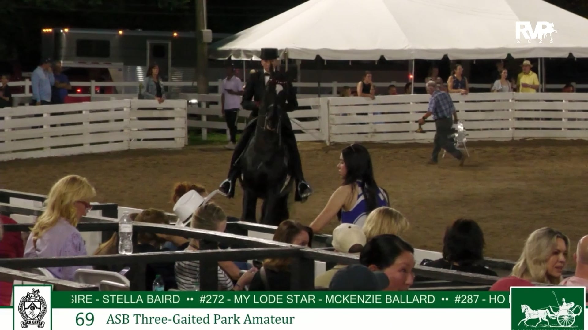 RC25 - Class 69 - ASB Three Gaited Park Amateur