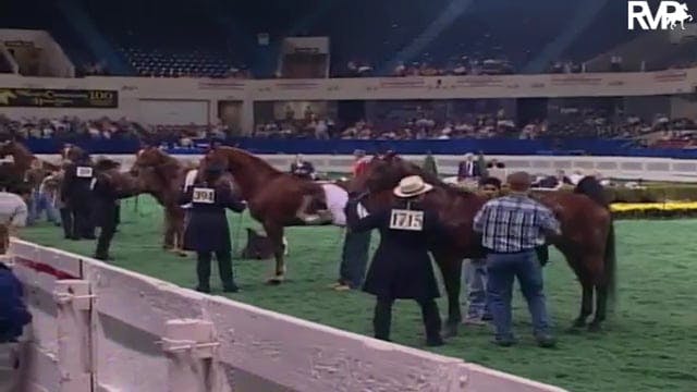 2003 WCHS Class 7 Kentucky County Fai...