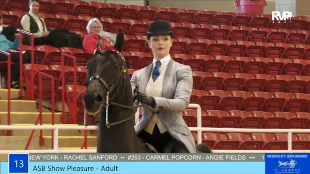 ASW21 - Class 13 - ASB Show Pleasure ...