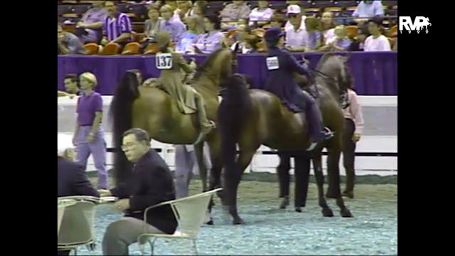 1999 WCHS - Class 113 UPHA Walk Trot ...