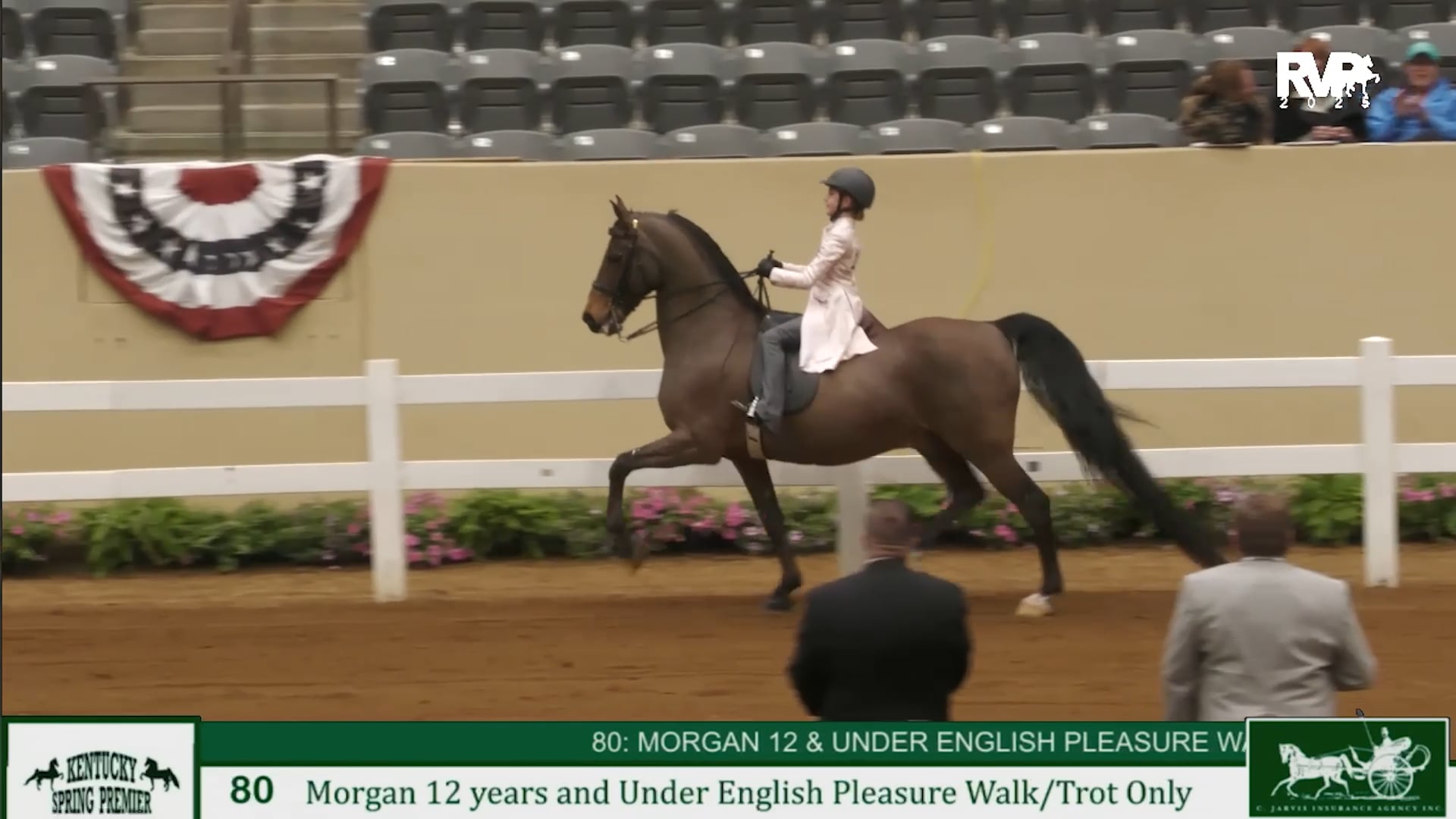 KYSP25 - Class 80 - Morgan English Pleasure 12 & Under Walk:Trot