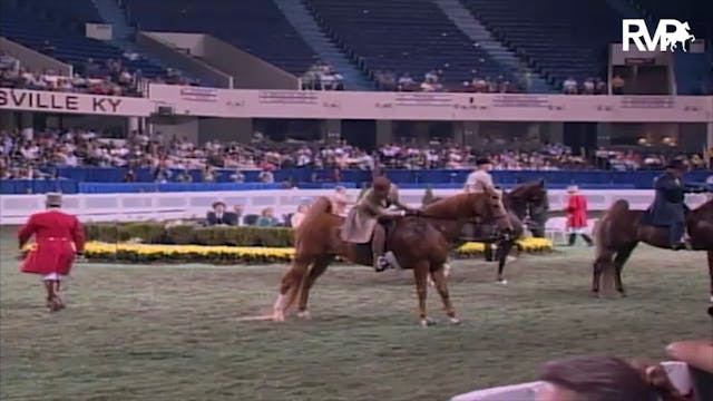 2003 WCHS Class 104 Amateur Five Gait...