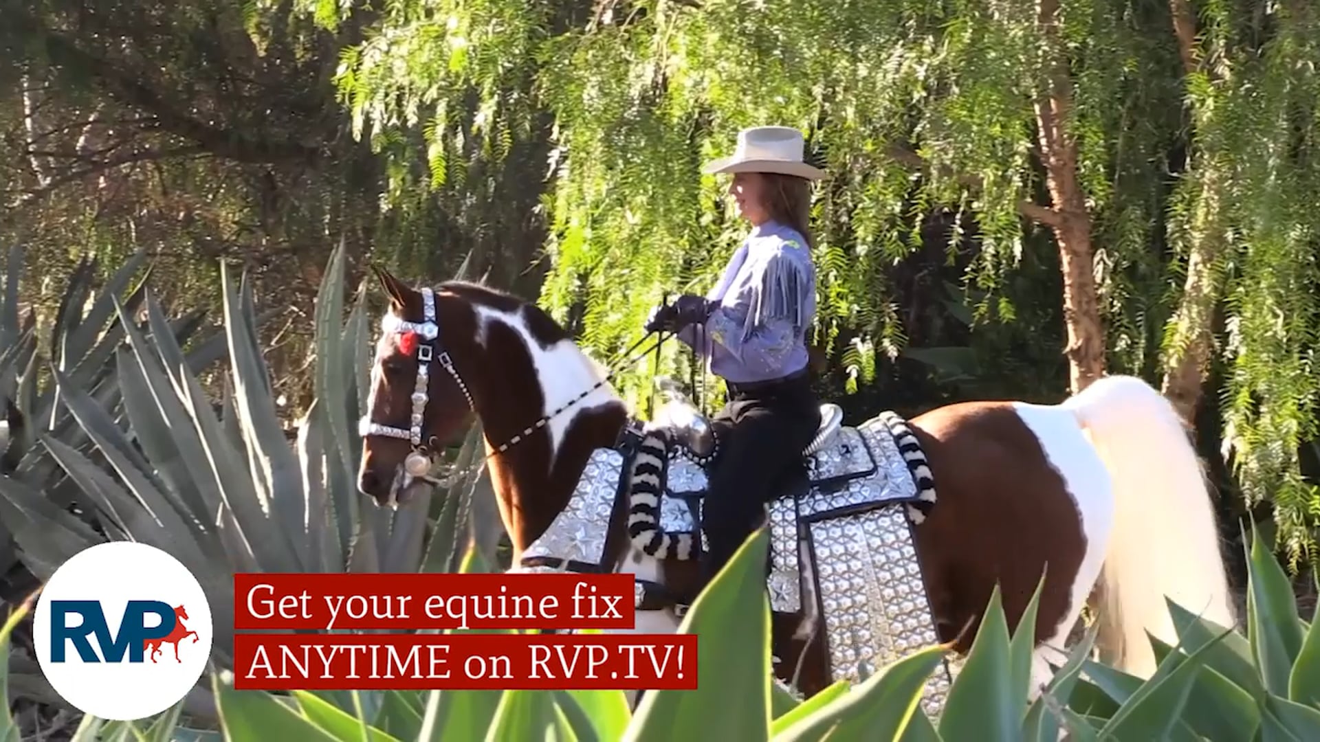 SS21 - Class 36.1 - One Phine Tango and Sara Honeycutt, up