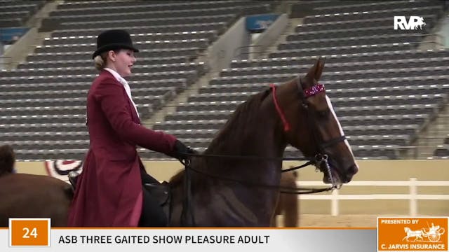 KFC 2020 - Class 24 ASB Three Gaited ...