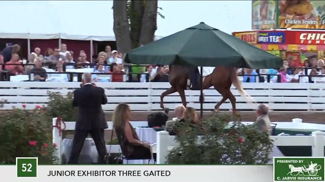 2017 RC - Class 52 Junior Exhibitor T...