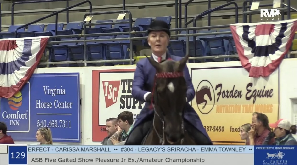 BB21 - Class 129 - ASB Five Gaited Show Pleasure Amateur-Junior Exhibitor