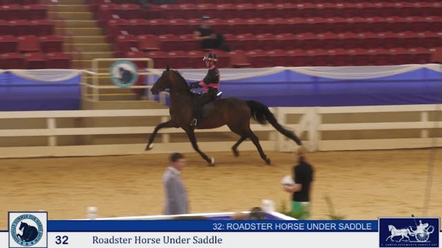 ASF25 - Class 32 - Roadster Horse Und...