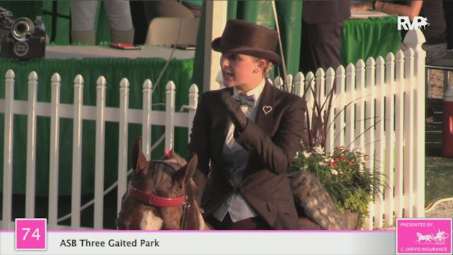 2020 LJL - Class 74 ASB Three Gaited ...