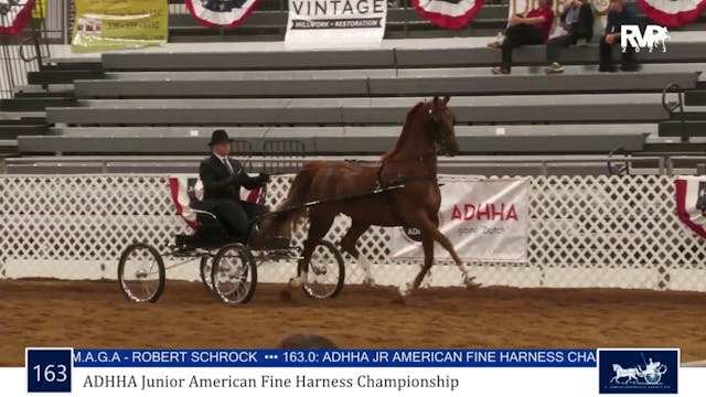 AAC23 - Class 163 - ADHHA Junior Amer...