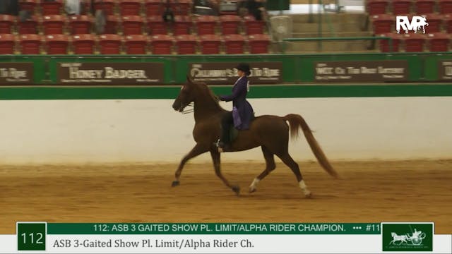 NCSC23 - Class 112 - ASB 3 Gaited Sho...