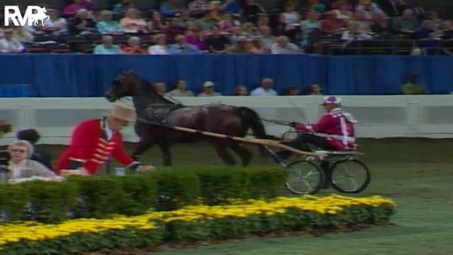 2004 World's Championship Horse Show ...