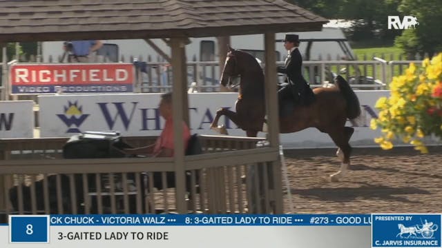 KYSP20 - Class 8 Three Gaited Lady to...