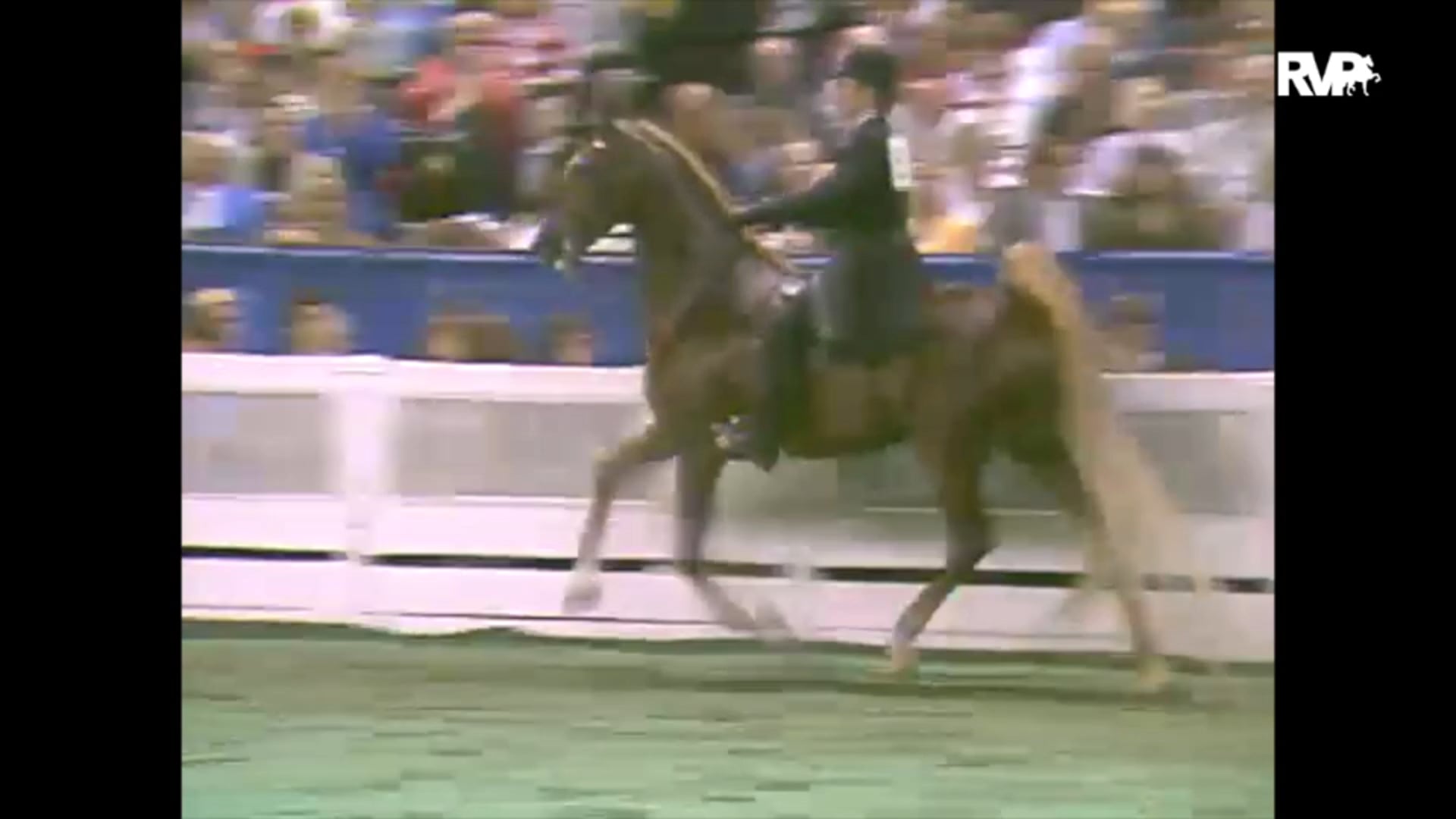 1993 WCHS Class 177 Five Gaited Grand Championship