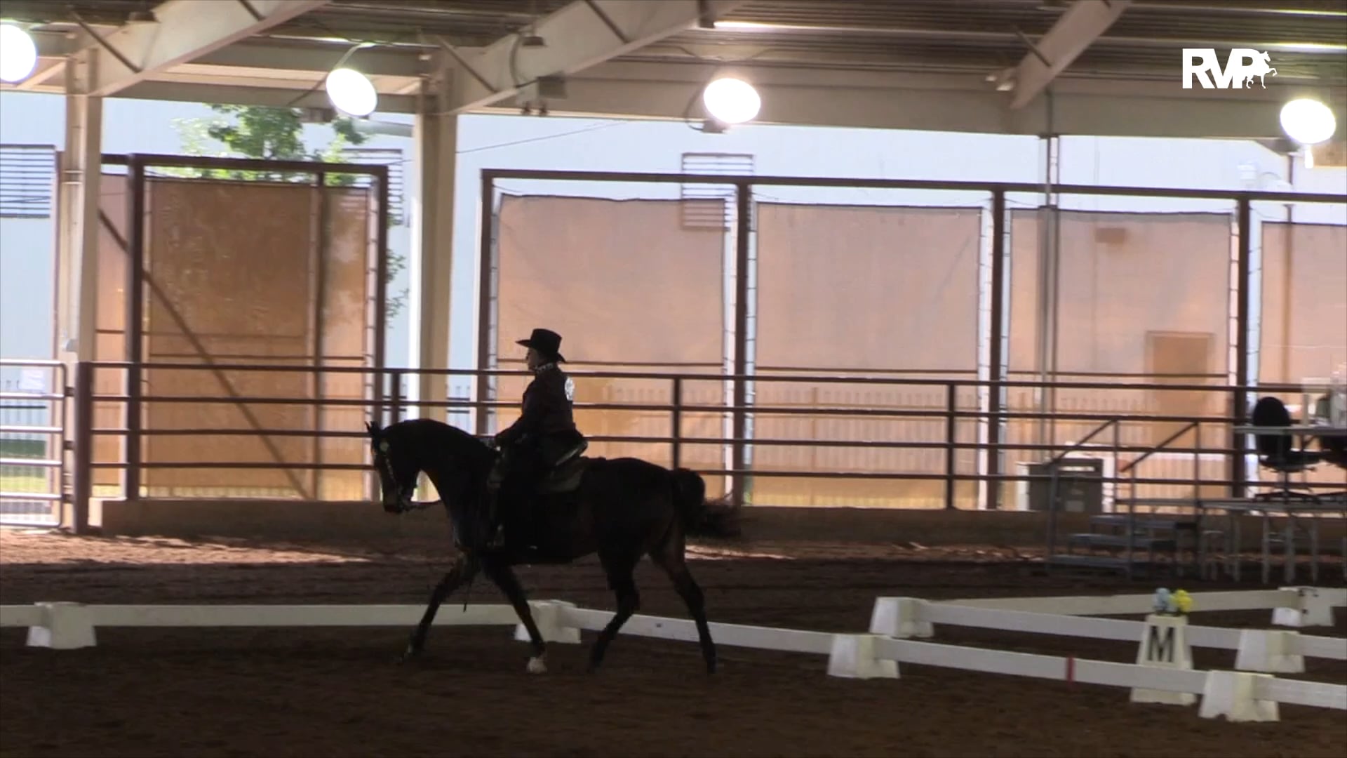 2020 MGN - Class 608 GN Western Dressage Basic Level Test 3 AmateurJunior Exhibitor  