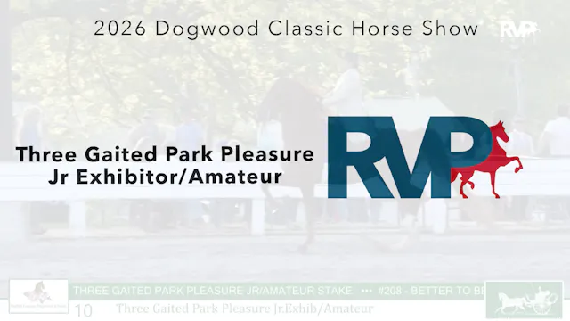 DC26 - Class 10 - Three Gaited Park P...