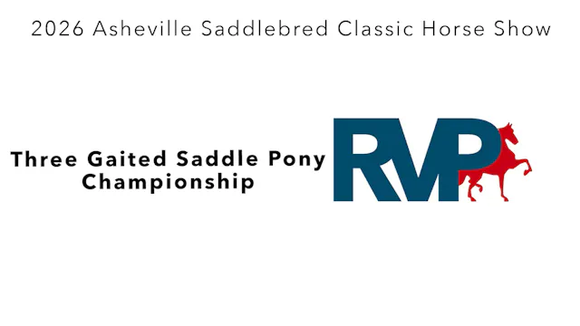 ASC26 - Class 128 - Three Gaited Sadd...