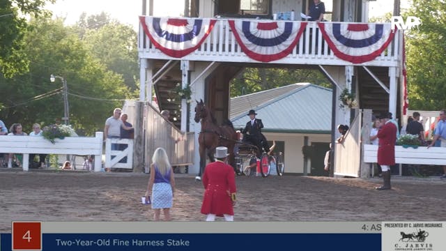 SHS22 - Class 4 -   Two Year Old Fine...