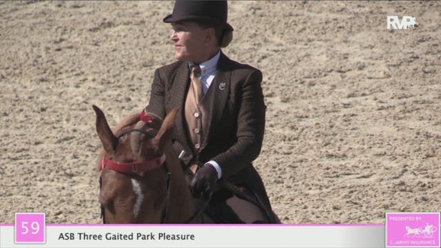 2020 LJL - Class 59 ASB Three Gaited ...