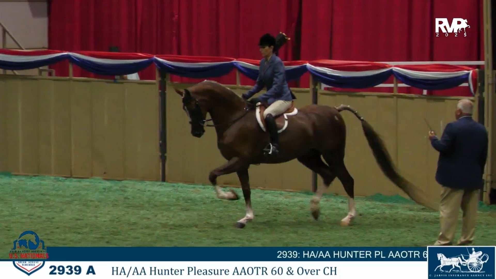 AN25 - Class 2939a - HA-AA Hunter Pleasure AAOTR 60 & Over CH - Section A