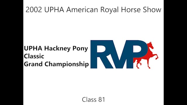 KC 02 - Class 81 - UPHA Hackney Pony ...