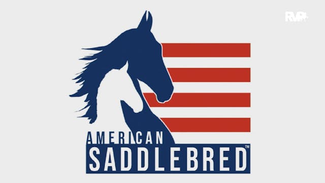 ASHBA Sports Horse of the Year Awards