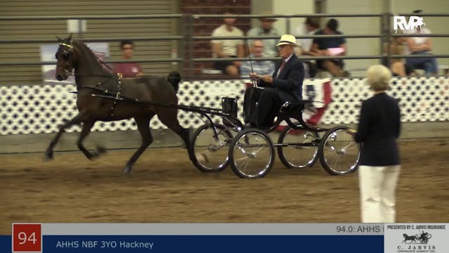 AAC22 - Class 94 -  AHHS National Bre...