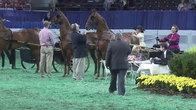 2011 WCHS Class 179 ASB Adult Show Pl...