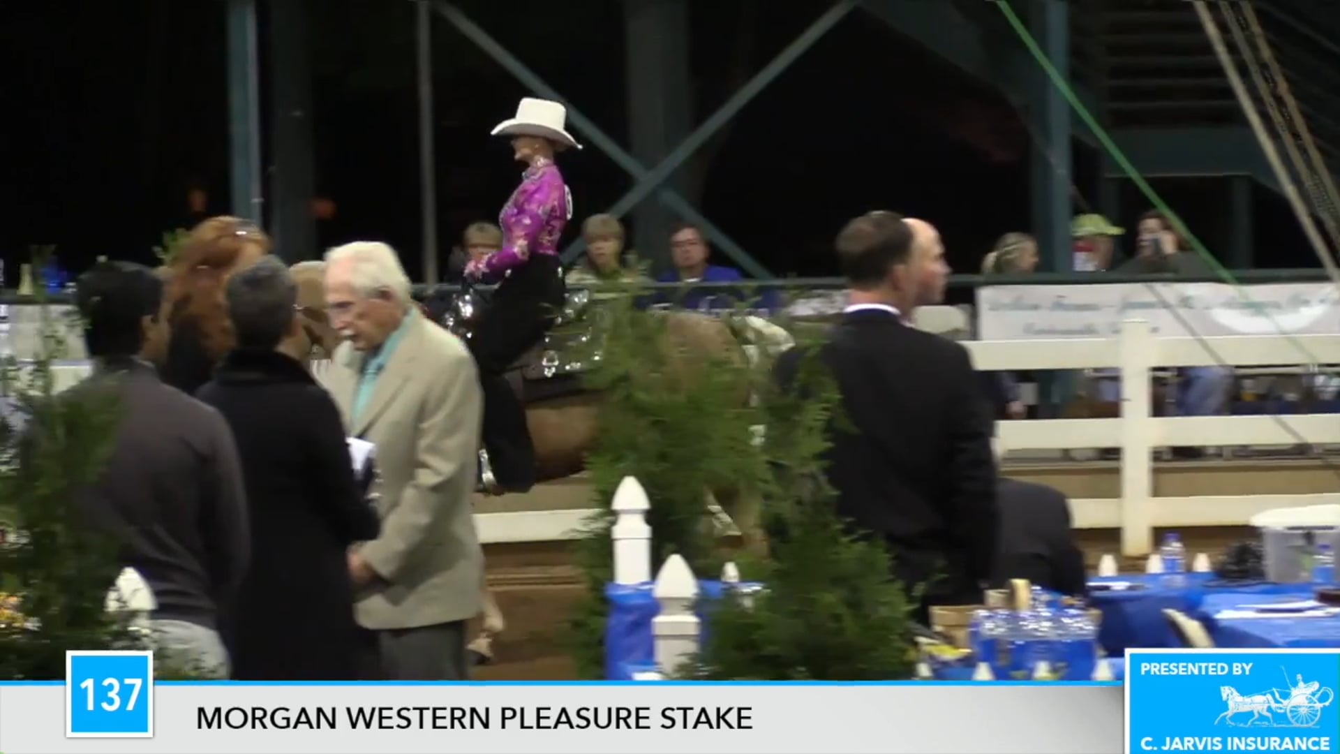 DC17 - Hollybrook Boy Toy - Championship