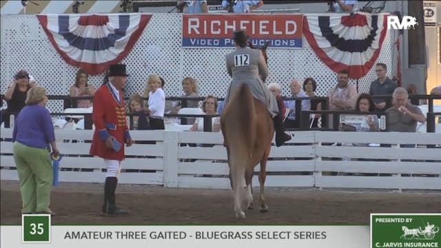 2016 RC - Class 35 Amateur Three Gait...