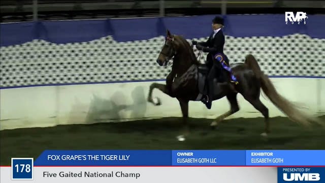 2025 American Royal - Monday Evening