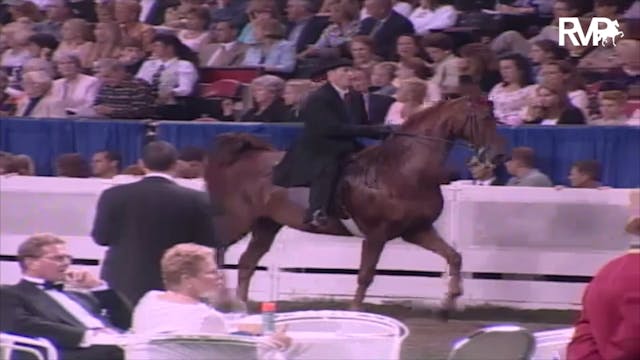 2003 WCHS Class 198 Adult Five Gaited...