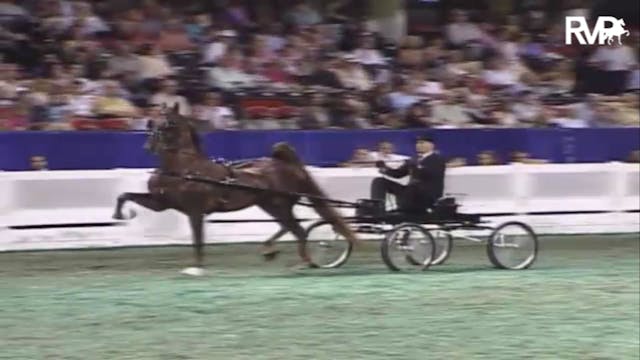 2007 WCHS Class 141 Fine Harness Stal...