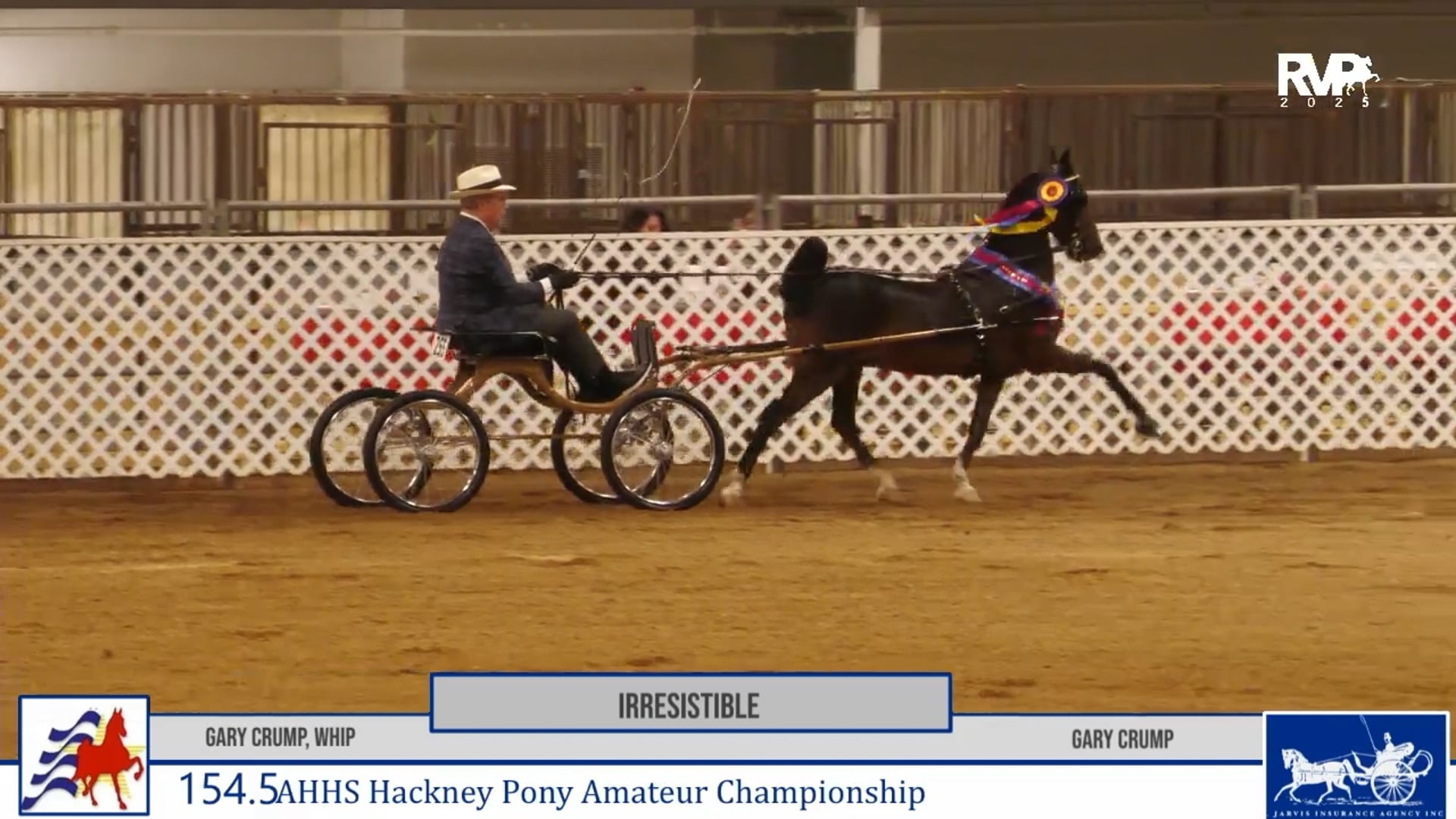 AAC25 - Class 154.5 - Irresistible and Gary Crump, Whip