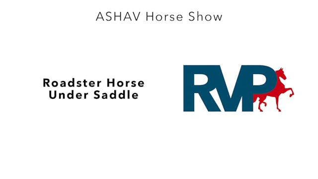 ASHAV23 - Class 29 - Roadster Horse U...