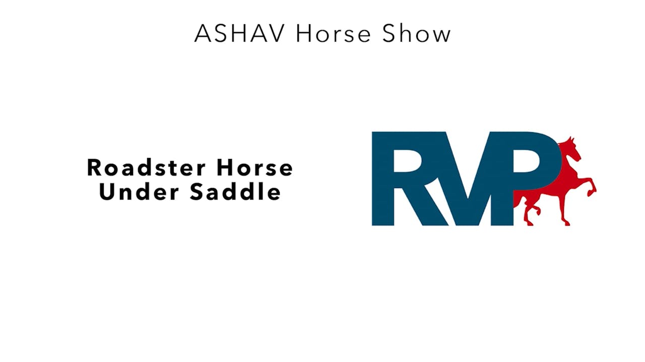 ASHAV23 Class 29 Roadster Horse Under Saddle Richfield Video Archive