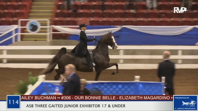 BR20 - Class 114 ASB Three Gaited Jun...