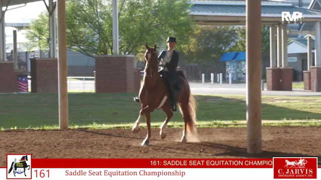 ProAm26 - Class 161 - Saddle Seat Equ...