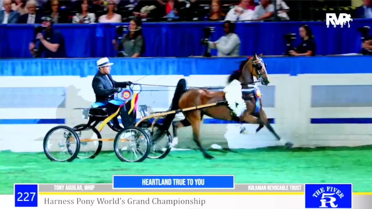 2024 World's Championship Horse Show First Saturday Evening