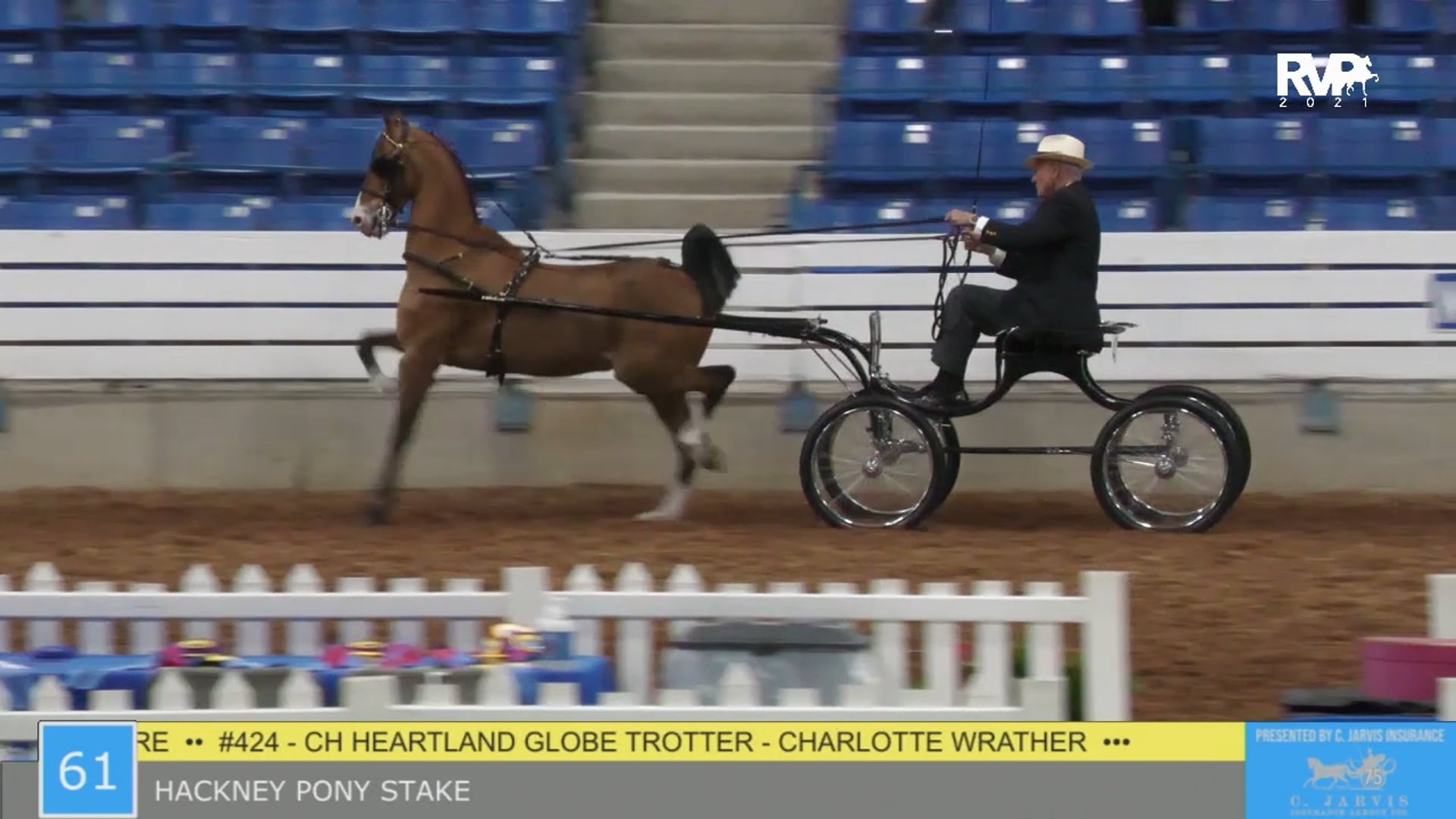 SSSF21 - Class 61 - Hackney Pony Stake