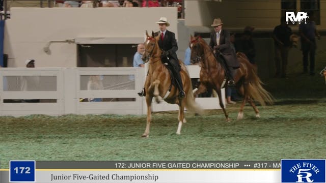 WCHS24 - Class 172 - Jr Five Gaited C...