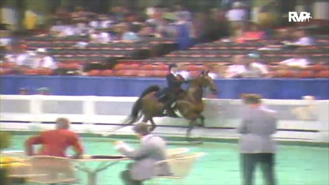 1992 WCHS Class 16 UPHA Challenge Cup...