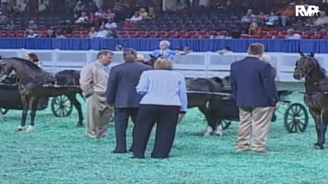 2009 World's Championship Horse Show ...